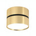 Brass cylindrical downlight with black accent band and white diffuser on white background.