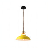 Color Block Shade Pendant Light