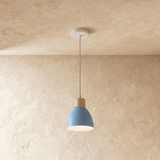 Colorato Pendant Light - Residence Supply