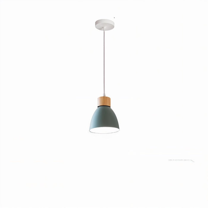 Easy Installation: Designed for hassle-free installation, the Colorato Pendant Light comes with all the necessary hardware and instructions, making setup a breeze. Simply follow the step-by-step guide to transform your space in no time.
