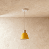 Colorato Pendant Light - Residence Supply