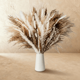 Cortaderia Pampas Grass Bouquet - Residence Supply