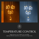 Cristal Chandelier - Residence Supply