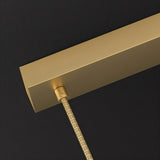 Cynosura Chandelier Light