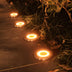Four stainless steel in-ground lights with warm LED glows embedded in dark pavement along ornamental grasses at night.