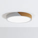 Delphi Ceiling Light - Residence Supply