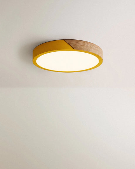 Delphi Ceiling Light - Residence Supply