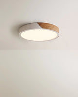 Delphi Ceiling Light - Residence Supply