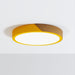 Delphi Ceiling Light - Residence Supply