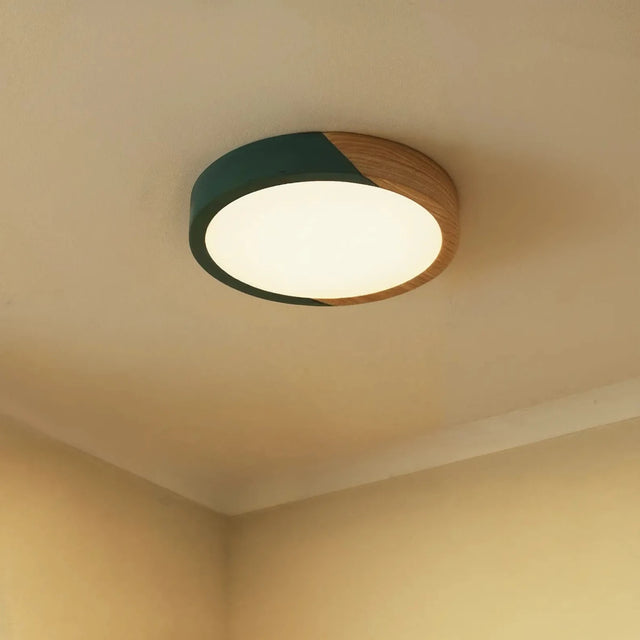 Delphi Ceiling Light - Residence Supply