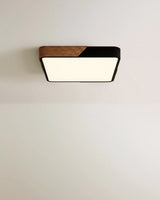 Delphi Ceiling Light - Residence Supply