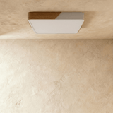 Delphi Ceiling Light - Residence Supply