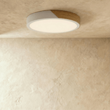 Delphi Ceiling Light - Residence Supply