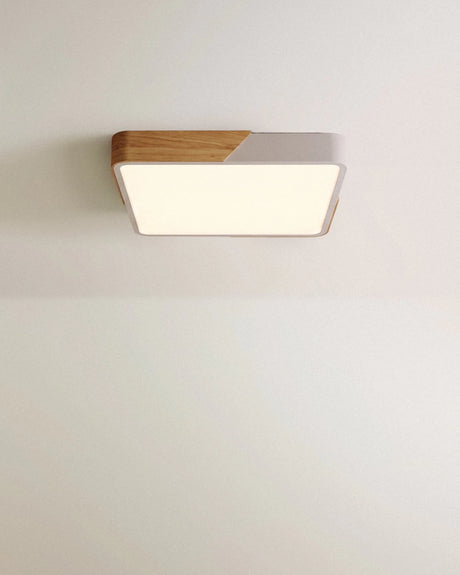 Delphi Ceiling Light - Residence Supply