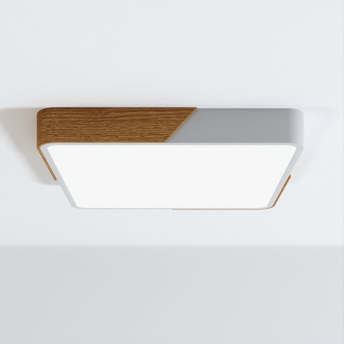 Delphi Ceiling Light - Residence Supply