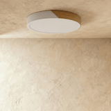 Delphi Ceiling Light - Residence Supply