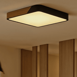 Delphi Ceiling Light - Residence Supply