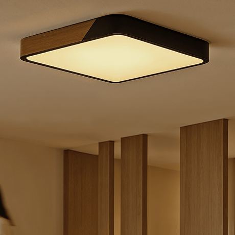 Delphi Ceiling Light - Residence Supply
