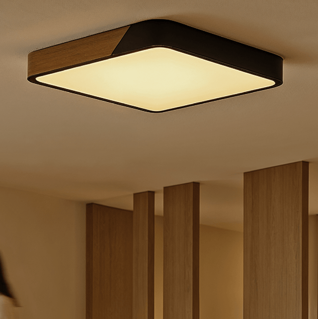 Delphi Ceiling Light - Residence Supply