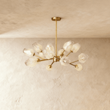 Delvo Chandelier - Residence Supply