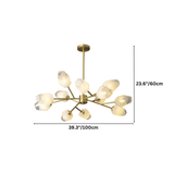Delvo Chandelier - Residence Supply