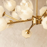 Delvo Chandelier - Residence Supply