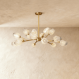 Delvo Chandelier - Residence Supply