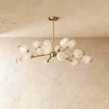 Delvo Chandelier - Residence Supply