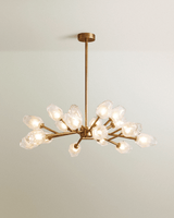 Delvo Chandelier - Residence Supply