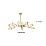 Delvo Chandelier - Residence Supply