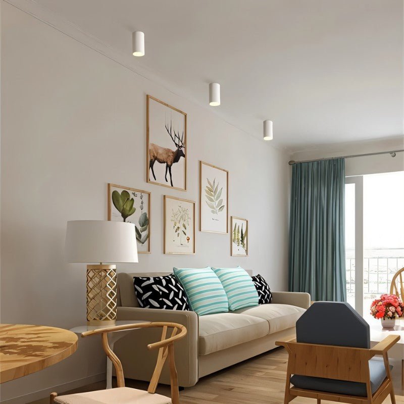 Dowan Downlight