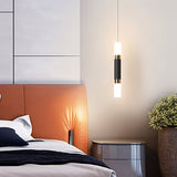 Duple Pendant Light