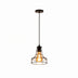 Black metal cage pendant light with vintage Edison bulb on white background.