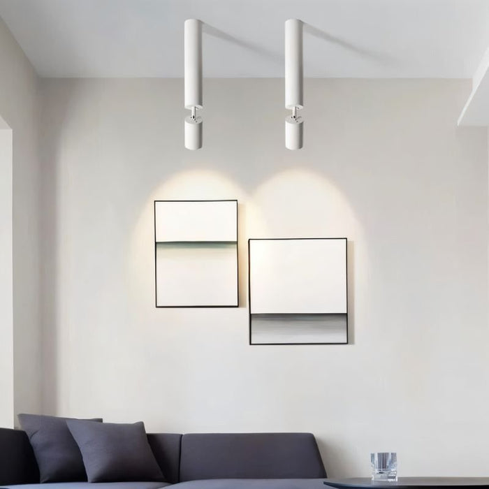 Edwin Downlight: Designed for recessed installation, this downlight blends seamlessly into the ceiling, providing discreet yet effective lighting.