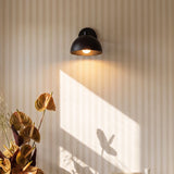 Eloria Wall Lamp - Residence Supply