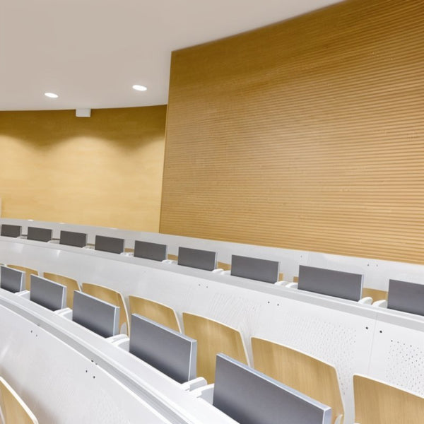 Acoustic Enhancement