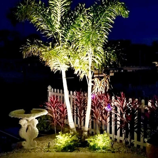 "Outdoor spotlights illuminating palm trees and a garden at night."