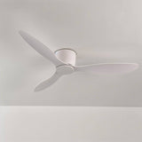 Enlil Ceiling Fan - Open Box