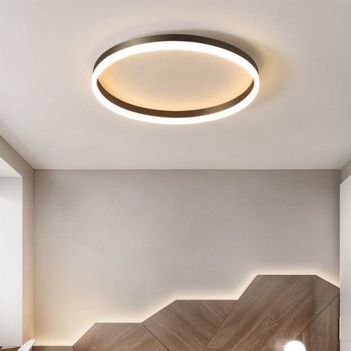 Esperanza Ceiling Light - Light Fixtures