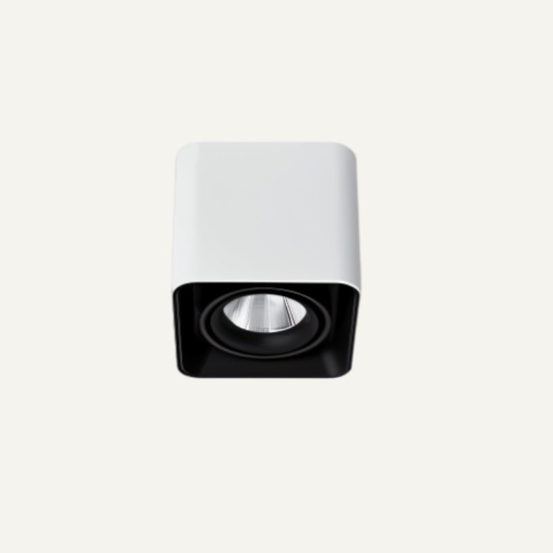 Eugenia Downlight