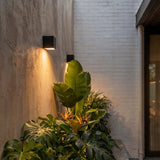 Evelyn Outdoor Wall Lamp - Residence Supply