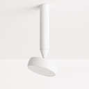 Fionn Ceiling Light