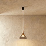 Fluvic Pendant Light - Residence Supply