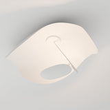 Foglia Ceiling Wall Lamp