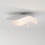 Foglia Ceiling Wall Lamp