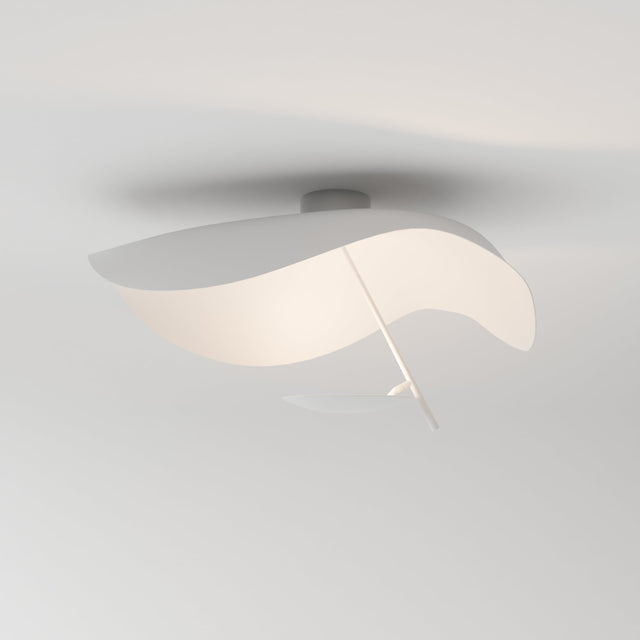 Foglia Ceiling Wall Lamp