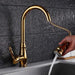 Geira Kitchen Faucet - Residence Supply