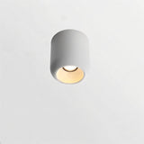 Graziella Downlight