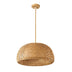 Hand-weaved rattan cocoon pendant light with a dome shape, hanging from a ceiling on a white background.
