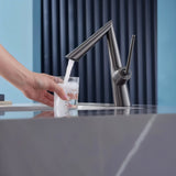 Hasmn Bathroom Faucet